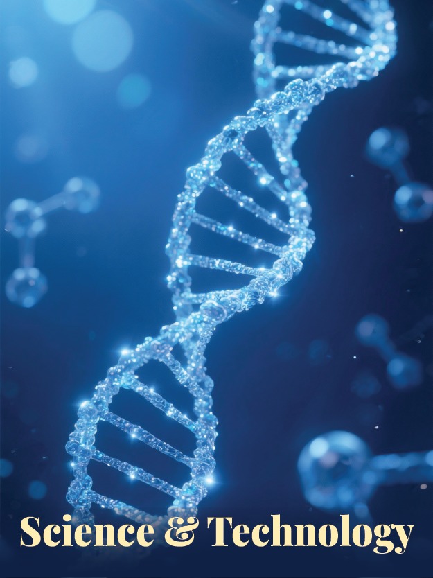 Ramoji Excellent Award